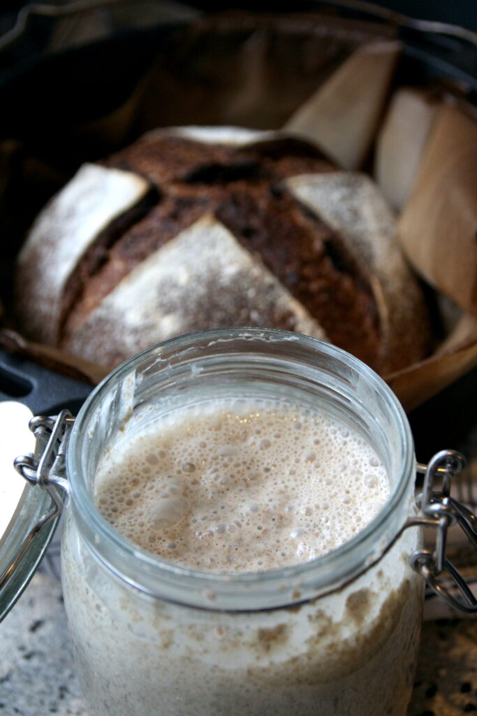 Zuurdesemstarter met brood