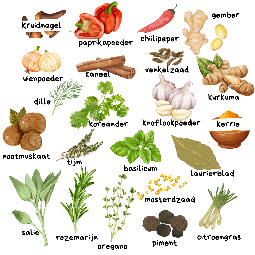 overzicht welke kruiden er in je kruidenkast moeten staan als je wilt koken zonder planning