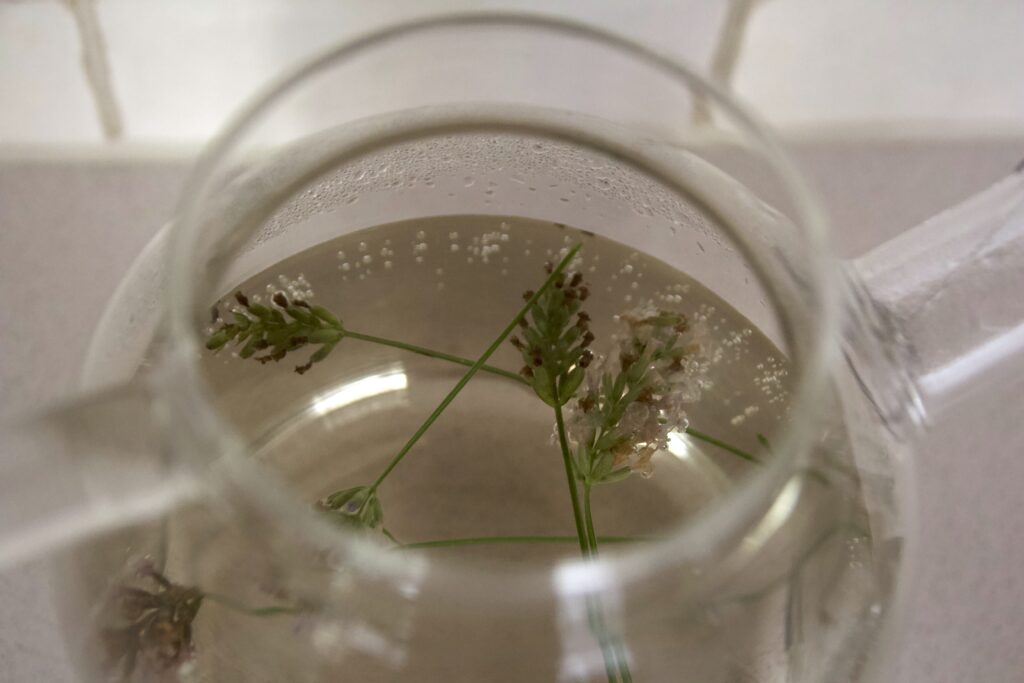 Close up lavendelthee in glazen pot